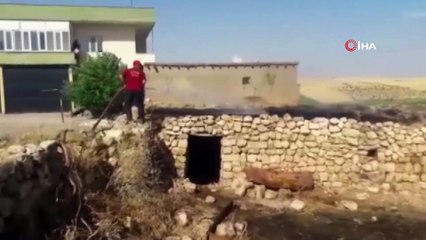 Elektrik telleri koptu, 10 güvercin telef oldu