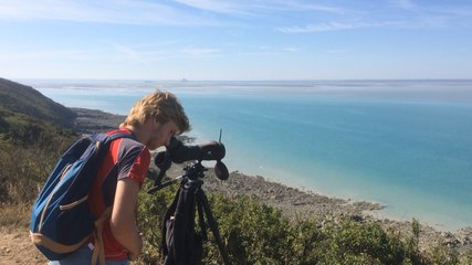 Une sortie à la découverte des oiseaux de la baie