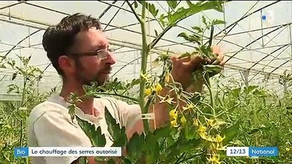 Agriculture biologique : les serres chauffées autorisées