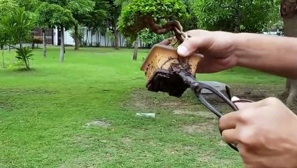 군산출장안마 -후불100%ョØ1ØA8109A5900｛카톡GD825｝ 군산전지역출장안마 군산오피걸 군산출장마사지 군산안마 군산출장마사지 군산콜걸샵タダチ