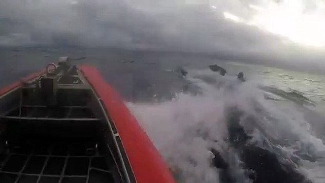 Arrestation d'un trafiquant de drogue en bateau