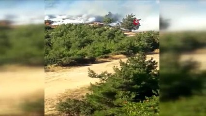 Orman yangın havuzunda yangın paniği