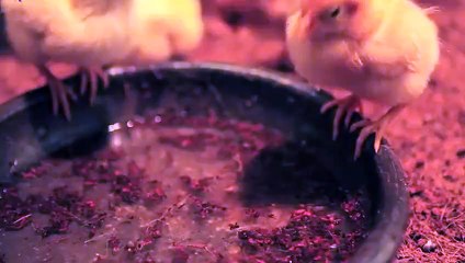 거제출장안마 -후불100%ョØ1ØE7362E3210｛카톡VR91｝ 거제전지역출장안마 거제오피걸 거제출장마사지 거제안마 거제출장마사지 거제콜걸샵ŁØŒ