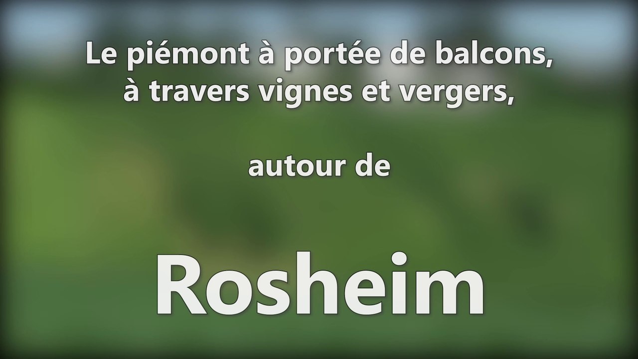DNA - Le piémont à portée de balcons, à travers vignes et vergers, autour de Rosheim
