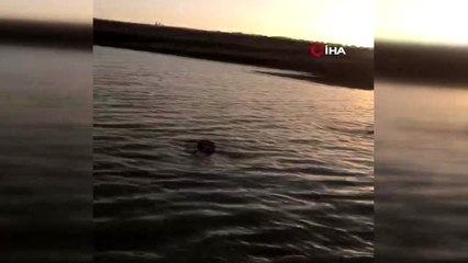 Nusaybin'de yağmur suyu göletine giren amca çocukları boğuldu