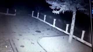 Mysterious running creature caught on CCTV | Mystérieuse créature en courant prise en vidéo surveillance |  Rätselhafte rennende Kreatur, die mit Videoüberwachung gefangen wurde