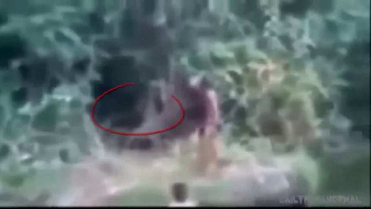 Bizarre humanoid creature, the Rake? | Bizarre créature humanoïde, le râteau? |  Bizarre humanoide Kreatur, der Rechen?