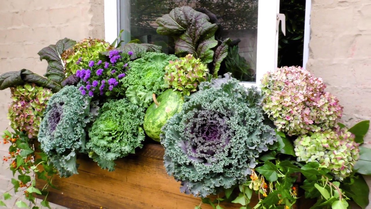 Transitional Window Box