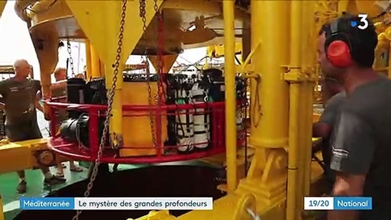 Méditerranée : dans l'intimité des fonds marins