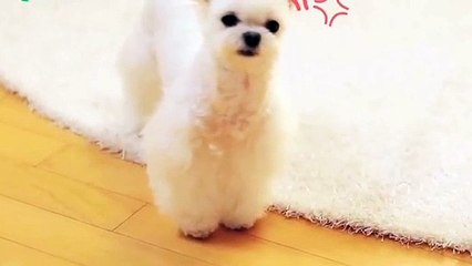 횡성출장안마 -후불100%ョØ1ØE6814E3375｛카톡NS95｝ 횡성전지역출장안마 횡성오피걸 횡성출장마사지 횡성안마 횡성출장마사지 횡성콜걸샵ÞŦŊ
