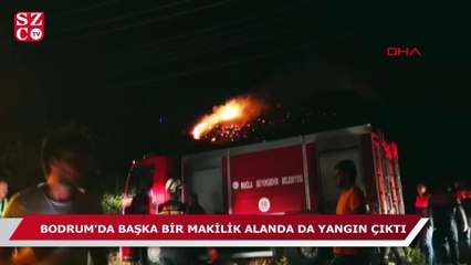 Bodrum'da korkulan oldu!