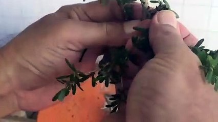 양산출장안마 -후불100%ョØ1ØE6706E9275｛카톡FX24｝ 양산전지역출장안마 양산오피걸 양산출장마사지 양산안마 양산출장마사지 양산콜걸샵⊙♤℉