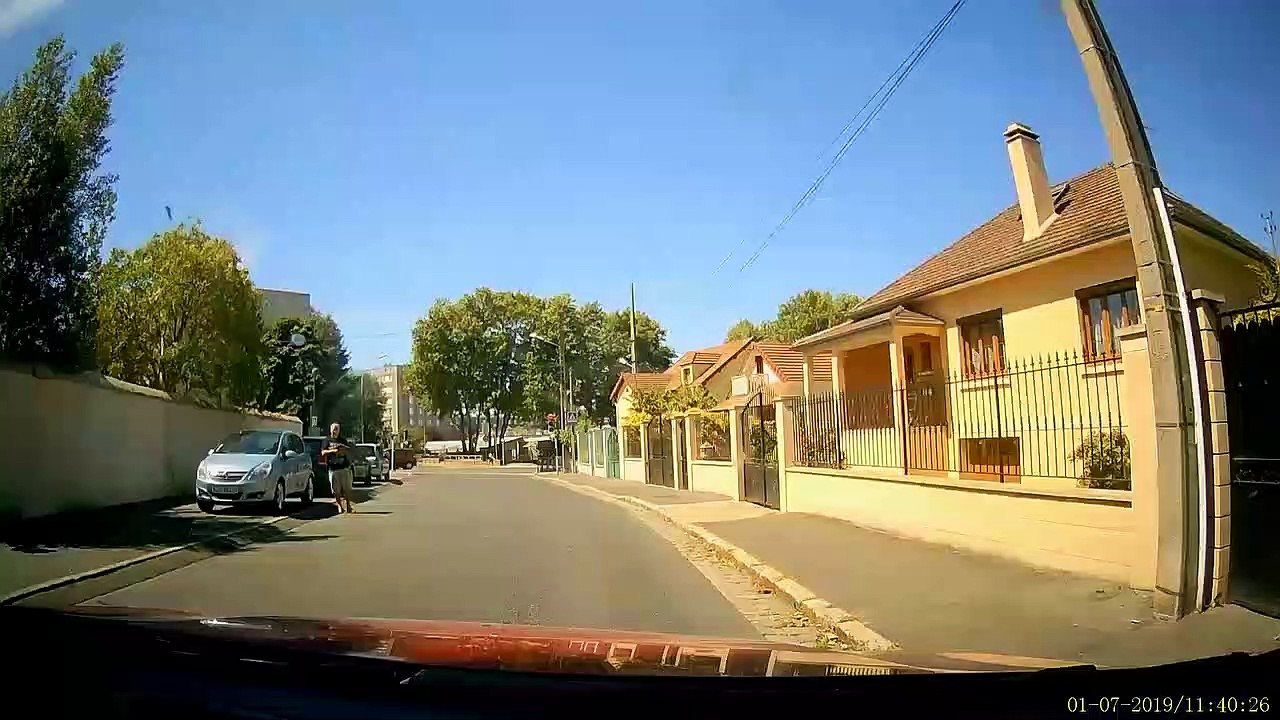 Un chat discipliné traverse la route sur un passage piéton