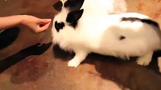 나주출장안마 -후불100%ョØ1ØE6814E3375｛카톡VR19｝ 나주전지역출장안마 나주오피걸 나주출장마사지 나주안마 나주출장마사지 나주콜걸샵ュユョ