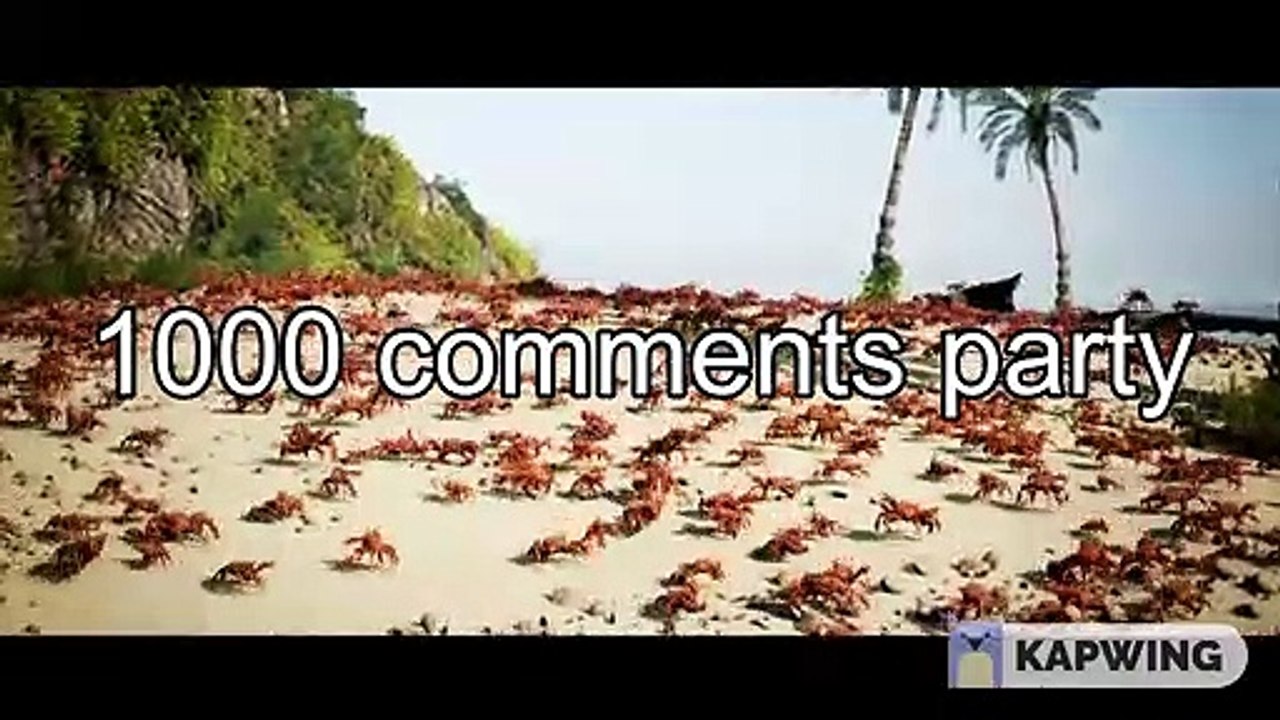 yay