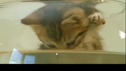 사천출장안마 -후불100%ョØ7ØS7301S9649｛카톡ZF66｝ 사천전지역출장안마 사천오피걸 사천출장마사지 사천안마 사천출장마사지 사천콜걸샵⊙◈