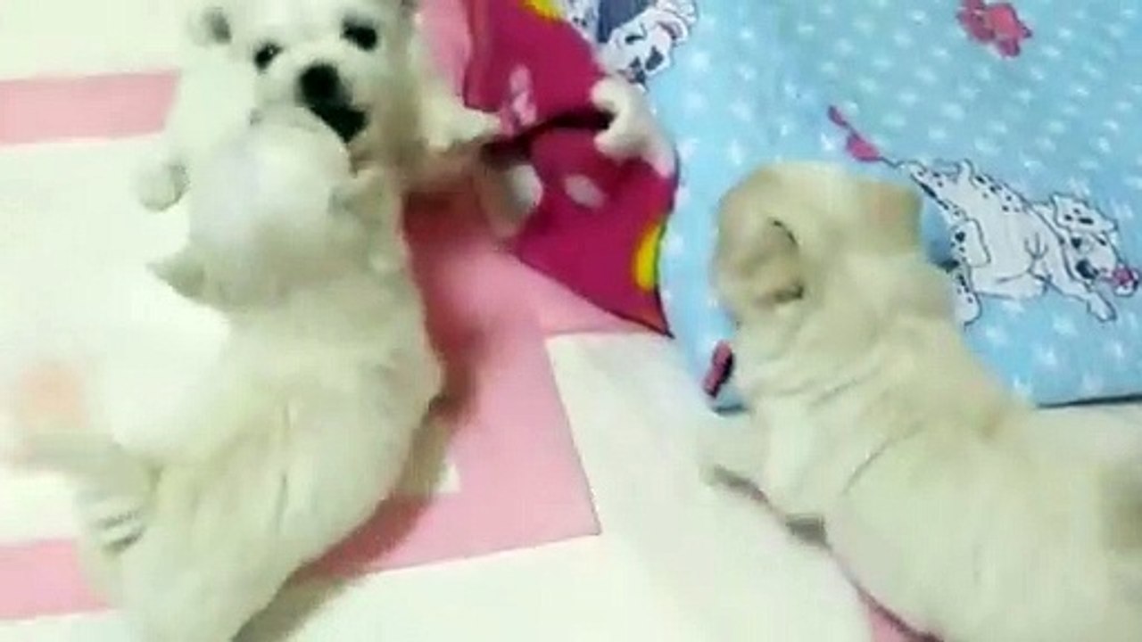 봉화출장안마 -후불100%ョØ7ØA7575A0069｛카톡CC6969｝ 봉화전지역출장안마 봉화오피걸 봉화출장마사지 봉화안마 봉화출장마사지 봉화콜걸샵どなに