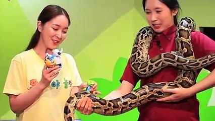 광주출장안마 -후불100%ョØ1ØE7362E3210｛카톡RQ43｝ 광주전지역출장안마 광주오피걸 광주출장마사지 광주안마 광주출장마사지 광주콜걸샵ヱヲン