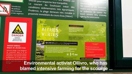 Britanny man leads fight against green algae