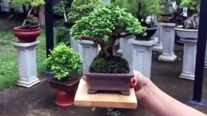 통영출장안마 -후불100%ョØ1ØA7685A6221｛카톡PP888｝ 통영전지역출장안마 통영오피걸 통영출장마사지 통영안마 통영출장마사지 통영콜걸샵ミムメ