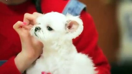 종로출장안마 -후불100%ョØ1ØA8109A5900｛카톡GD825｝ 종로전지역출장안마 종로오피걸 종로출장마사지 종로안마 종로출장마사지 종로콜걸샵‡♭