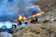 Korkulan oldu yangın büyüdü: Tatilciler alevlere müdahale etti