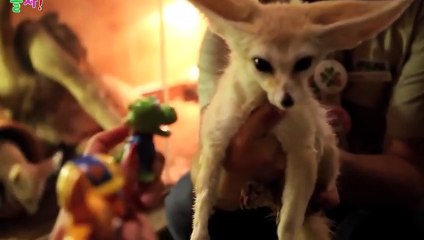 조치원출장안마 -후불100%ョØ7ØS7301S9649｛카톡ZF66｝ 조치원전지역출장안마 조치원오피걸 조치원출장마사지 조치원안마 조치원출장마사지 조치원콜걸샵♪∀