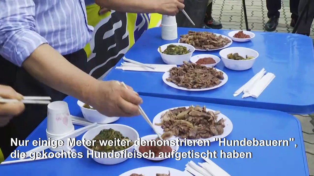 Südkorea: Kulturkampf um Hundefleisch - mit Kim Basinger