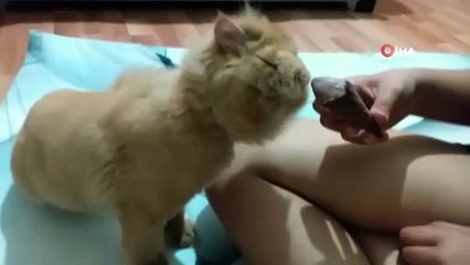 Hera’nın dondurma keyfi