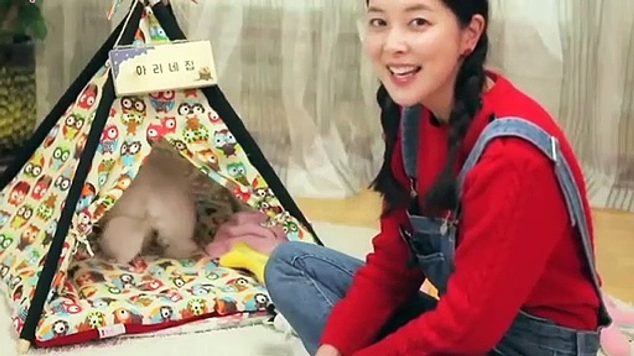 함안출장안마 -후불100%ョØ1ØA8109A5900｛카톡OYO78｝ 함안전지역출장안마 함안오피걸 함안출장마사지 함안안마 함안출장마사지 함안콜걸샵ニヌネ