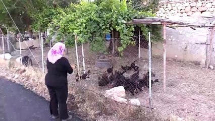 Huzuru Köyde Bulanlar - Köylerine dönüp dondurmacı oldular - ERZİNCAN