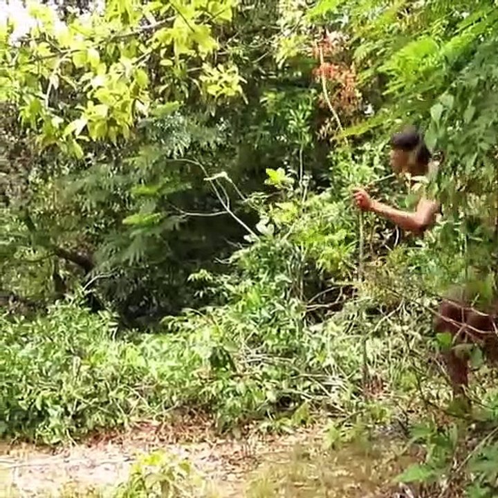 Primitive Technology
