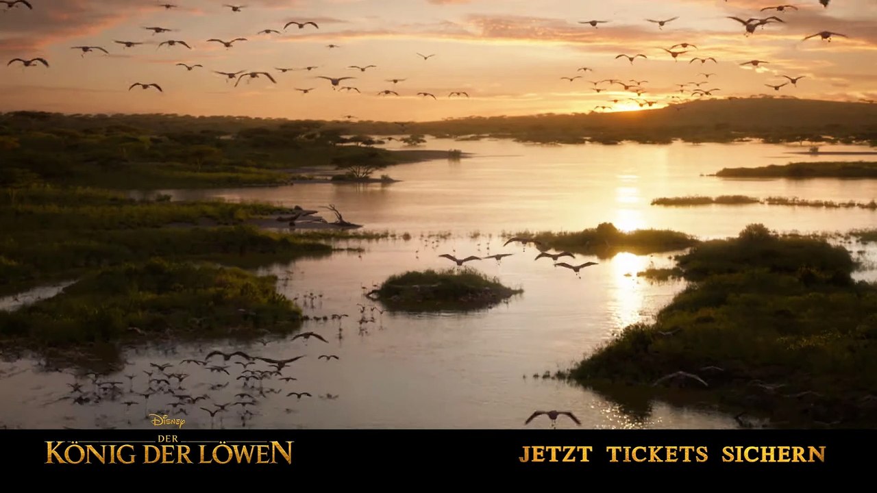 DER KÖNIG DER LÖWEN Film - Ein ewiger Kreis