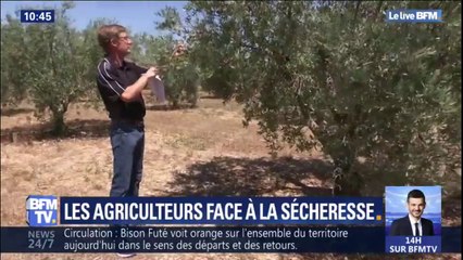 Face à la sécheresse, la technologie vole au secours des agriculteurs