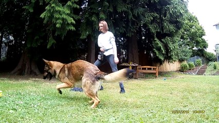 Aramis_Verstärker+Clicker Konditionierung Auffrischung_2019_07_13_Teil2