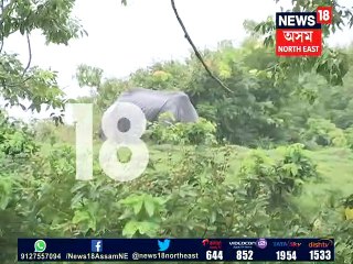 বানৰ কবলত কাজিৰঙাৰ ৮০টা বন শিবিৰ, কাৰ্বি পাহাৰত আশ্ৰয় বন্যপ্ৰাণীৰ