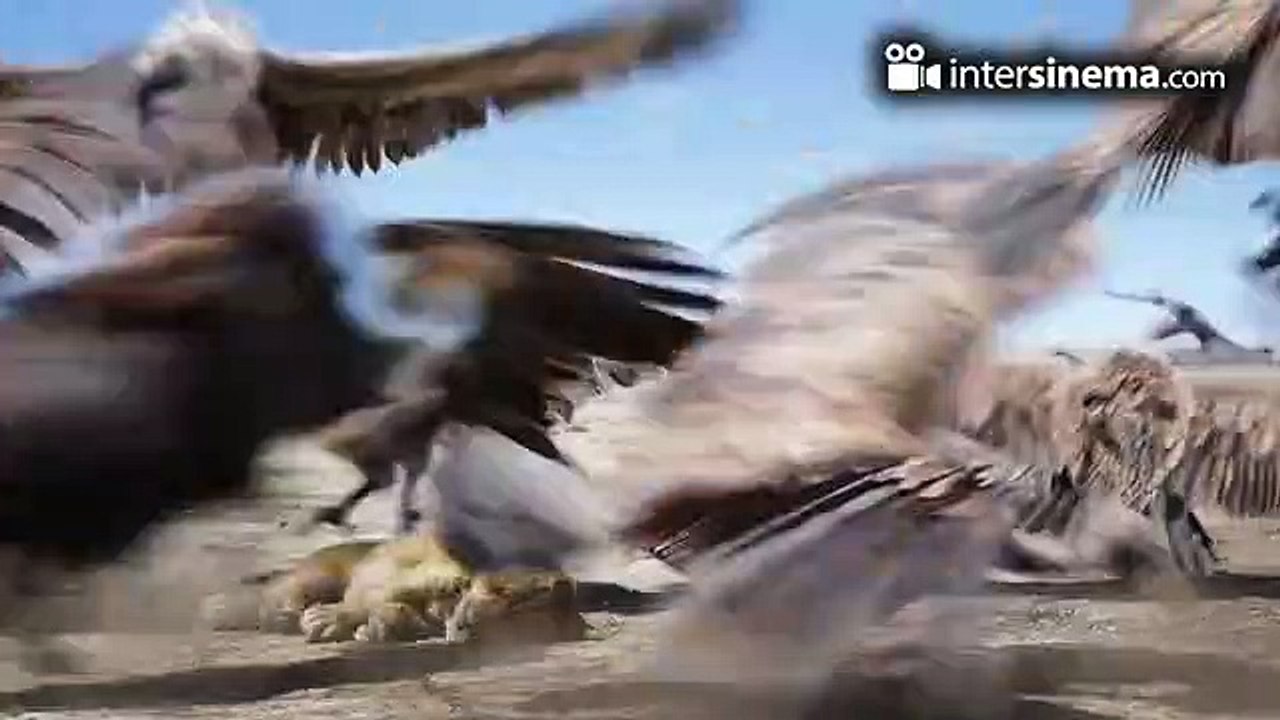 Aslan Kral - Fragman
