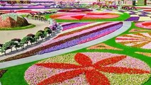 Beautiful Dubai Miracle Garden!