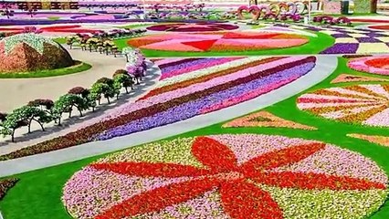 Beautiful Dubai Miracle Garden!