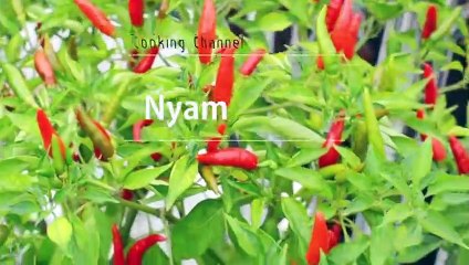 괴산출장안마 -후불100%ョØ7ØA7575A0069｛카톡RD654｝ 괴산전지역출장안마 괴산오피걸 괴산출장마사지 괴산안마 괴산출장마사지 괴산콜걸샵œßþ