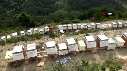 Sattığı bileziğiyle bir kovan arı aldı, şimdi paraya para demiyor
