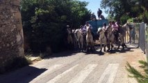 Théziers : les taureaux dans la rue pour la fête votive
