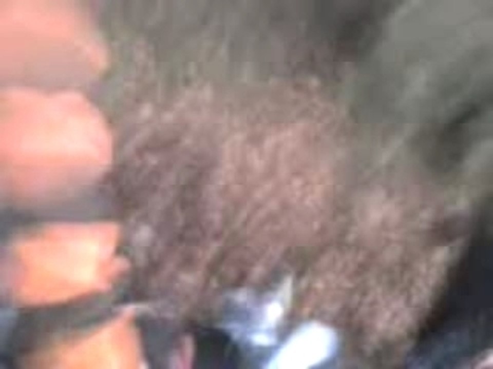 MOV00010