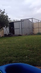 New Flip 2: B-Kick (Butterfly Kick)