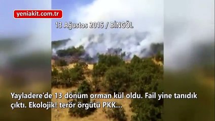 İşte Haçlı köpeği PKK’nın gerçek yüzü! Sigara izmariti atmıyor ama orman yakıyor