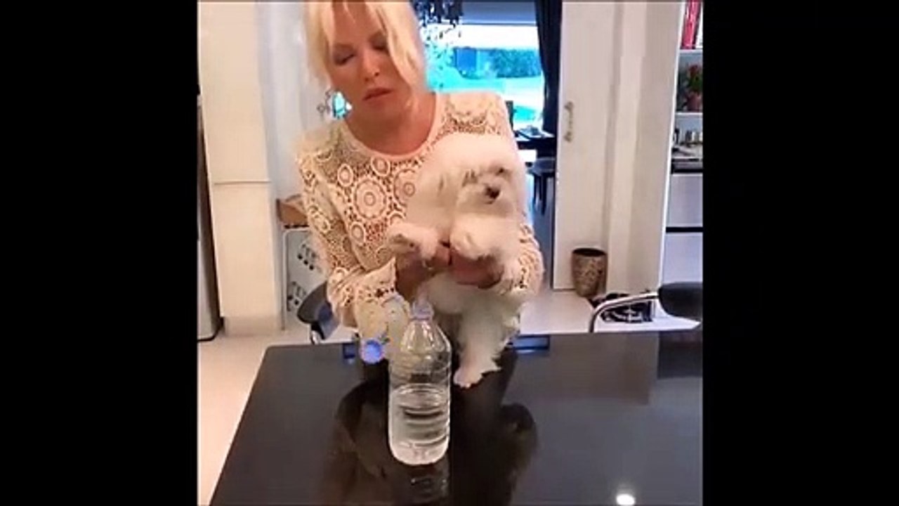 Ajda Pekkan... AÇARSA BÖYLE KAPAK AÇAR!