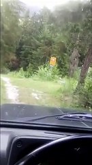 Sauvetage in extremis dans une rivière