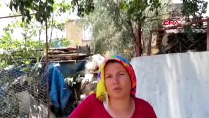 ANTALYA Havlamasına kızdığı 'Duman'ı av tüfeğiyle vurdu