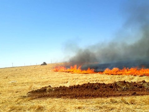 Suriye sınırındaki anız yangını korkuttu