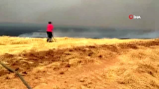 Suriye sınırındaki anız yangını korkuttu